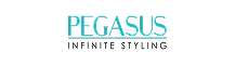 Pegasus infinite styling logo